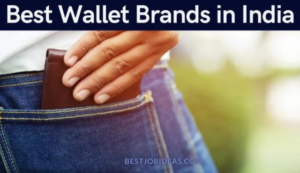 Best Wallet Brands in India